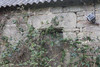French property for sale in Lignol, Morbihan - €88,000 - thumbnail 11