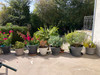 French property for sale in Saint-Martin-l'Ars, Vienne - €189,000 - thumbnail 9