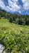French property for sale in Sainte-Foy-Tarentaise, Savoie - €425,000 - thumbnail 9