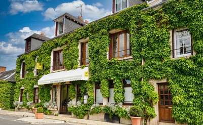 Hotel restaurant** near Blois/Chambord/Cheverny/zoo
25 rooms ,swimming pool
360° agence Leggett immobilier