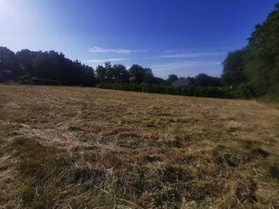 French property for sale in Saint-Gravé, Morbihan - €50,000 - photo 6