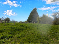 Propriété à vendre à La Chapelle-Montligeon, Orne - 100 000 € - photo n°10