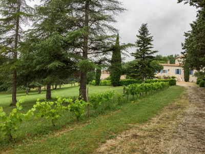 French property for sale in Montcuq-en-Quercy-Blanc, Lot - €1,680,000 - photo 4