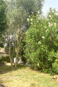 French property for sale in Lignières-Sonneville, Charente - €183,600 - photo 13
