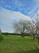 French property for sale in Birac-sur-Trec, Lot-et-Garonne - €275,000 - thumbnail 9