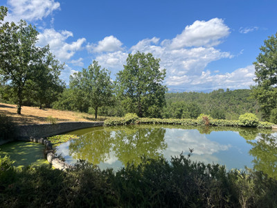 French property for sale in Bagnols-en-Forêt, Var - €1,278,000 - photo 9