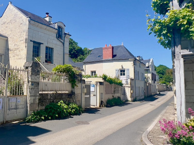 Maison à vendre à Candes-Saint-Martin, Indre-et-Loire, Centre, avec Leggett Immobilier