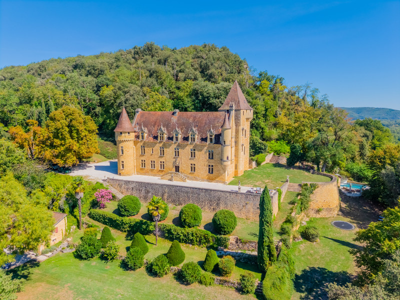 chateau for sale in Aquitaine (Nouvelle-Aquitaine)