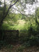 French property for sale in Villaines-la-Juhel, Mayenne - €26,595 - thumbnail 4