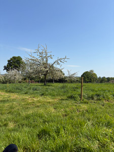 French property for sale in Tinchebray-Bocage, Orne - €44,600 - photo 5