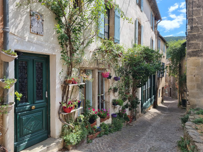 Maison à vendre à Olargues, Hérault, Languedoc-Roussillon, avec Leggett Immobilier