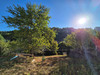 French property for sale in Périgueux, Dordogne - €165,000 - thumbnail 9