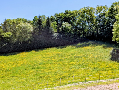 French property for sale in Limeuil, Dordogne - €260,000 - photo 14