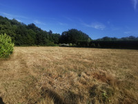 Propriété à vendre à Saint-Gravé, Morbihan - 50 000 € - photo n°4