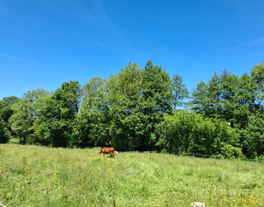 French property for sale in Terres-de-Haute-Charente, Charente - €247,999 - photo 1