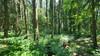 French property for sale in Ceaucé, Orne - €250,000 - thumbnail 14