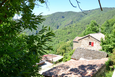 Commerce à vendre à Chamborigaud, Gard, Languedoc-Roussillon, avec Leggett Immobilier