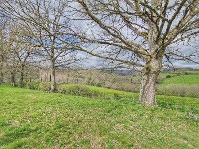 French property for sale in Poussanges, Creuse - €179,000 - photo 9