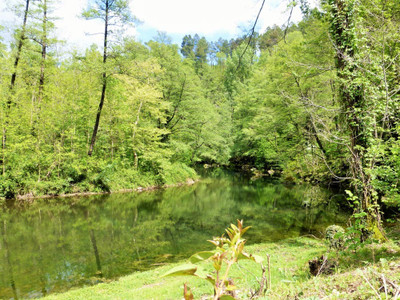 17thC riverside château. A successful gites, yoga retreat and event business with a spacious owners house.