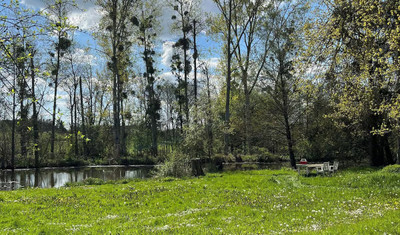 French property for sale in Martizay, Indre - €267,500 - photo 10