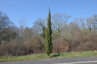 Terrain à vendre à Vasles, Deux-Sèvres - 16 425 € - photo 9