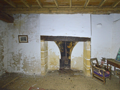 French property for sale in Badefols-d'Ans, Dordogne - €15,000 - photo 9