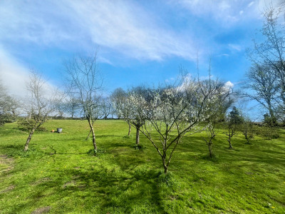 French property for sale in Canihuel, Côtes-d'Armor - €172,800 - photo 13
