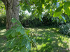 French property for sale in Villiers-le-Roux, Charente - €381,600 - thumbnail 9