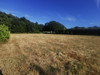 French property for sale in Saint-Gravé, Morbihan - €50,000 - thumbnail 14