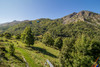 French property for sale in Saint-Martin-de-Belleville, Savoie - €1,275,000 - thumbnail 9