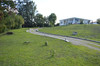 French property for sale in Sainte-Livrade-sur-Lot, Lot-et-Garonne - €365,700 - thumbnail 9