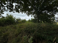 Terrain à vendre à Carentoir, Morbihan - 32.600 € - photo 6