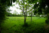 French property for sale in Aubéguimont, Seine-Maritime - €440,000 - thumbnail 14