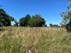 French property for sale in Saint-Bonnet-Tronçais, Allier - €66,600 - thumbnail 9