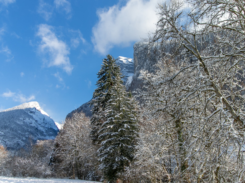 Ski property for sale in Samoens - €620,000 - photo 1