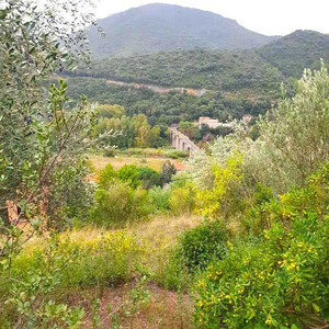 French property for sale in Vieussan, Hérault - €198,000 - photo 4