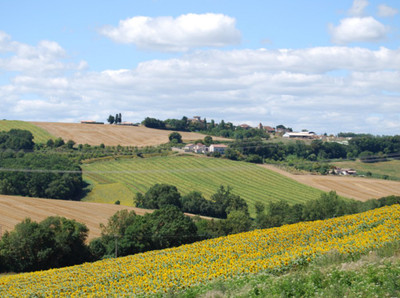 French property for sale in Prayssas, Lot-et-Garonne - €495,000 - photo 1