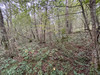 French property for sale in Sanilhac, Dordogne - €26,600 - thumbnail 6