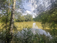 Lacs à vendre à Langon, Ille-et-Vilaine - 108.900 € - photo 15