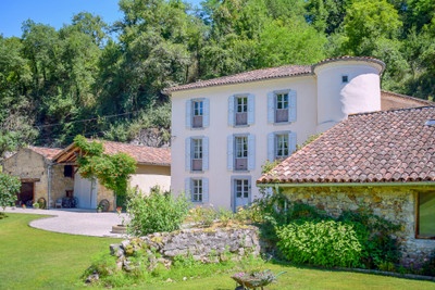 Superb chateau with apartment, gite, renovated barn, 7 hectare of grounds, a lake et 2 Gbit fibre optic wifi