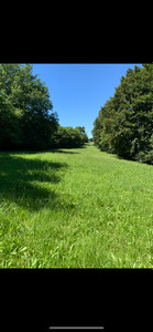 French property for sale in Maël-Carhaix, Côtes-d'Armor - €130,800 - photo 9
