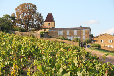 Chateau à vendre à Pommiers, Rhône, Rhône-Alpes, avec Leggett Immobilier