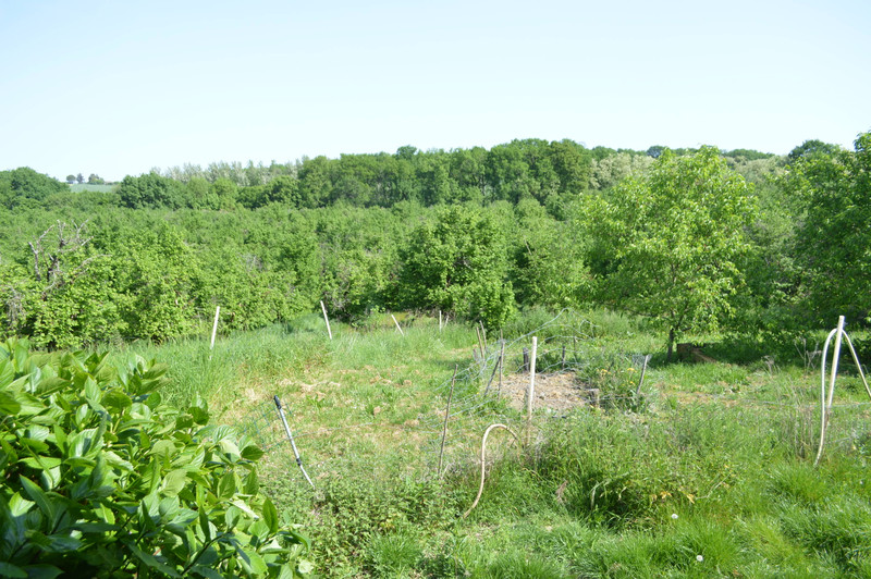 French property for sale in Hautesvignes, Lot-et-Garonne - €199,800 - photo 9