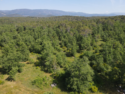 French property for sale in Fayence, Var - €1,250,000 - photo 3