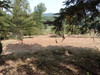 French property for sale in Saint-Cyr-la-Roche, Corrèze - €13,100 - thumbnail 8