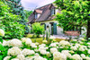 French property for sale in Blois, Loir-et-Cher - €590,000 - thumbnail 9