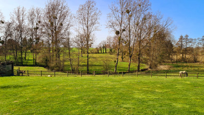 French property for sale in Rives d'Andaine, Orne - €699,999 - photo 9