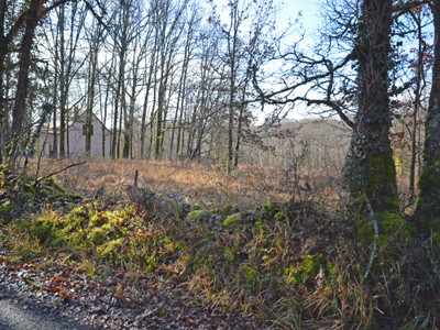 French property for sale in Tourtoirac, Dordogne - €14,600 - photo 3