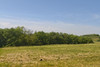 French property for sale in Tauriac, Tarn - €87,600 - thumbnail 4