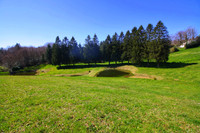 Maison à Le Rialet, Tarn - photo 4